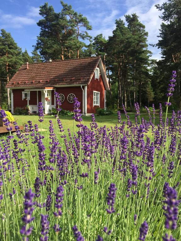 Villa Hanson Noarootsi Exteriör bild